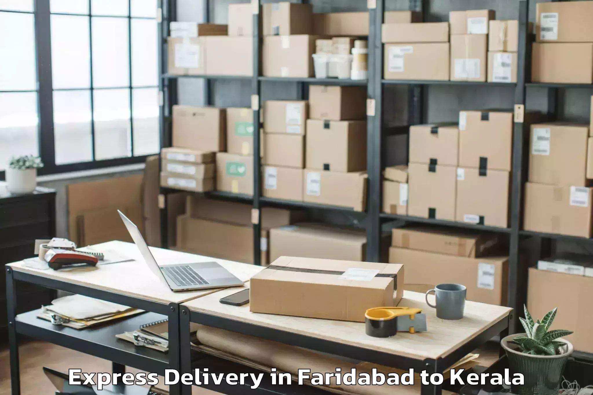 Professional Faridabad to Shoranur Express Delivery